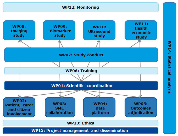 Workpackages EuroHYP-1